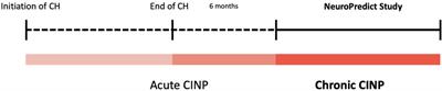 NeuroPredict: study of the predictive value of ABCB1 genetic polymorphisms and associated clinical factors in chronic chemotherapy-induced peripheral neuropathy (CIPN)